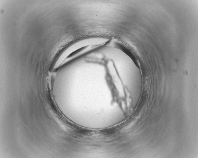 X0000088640589200706221548