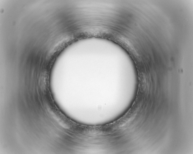 X0000088640590200706221548