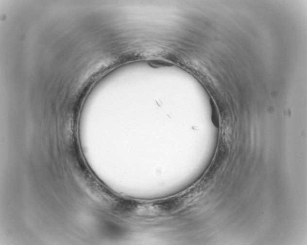 X0000088640591200706221548