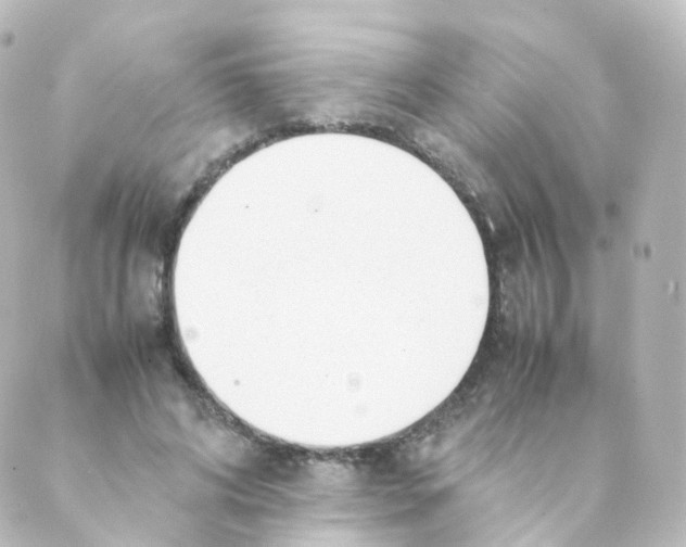 X0000088640592200706221548