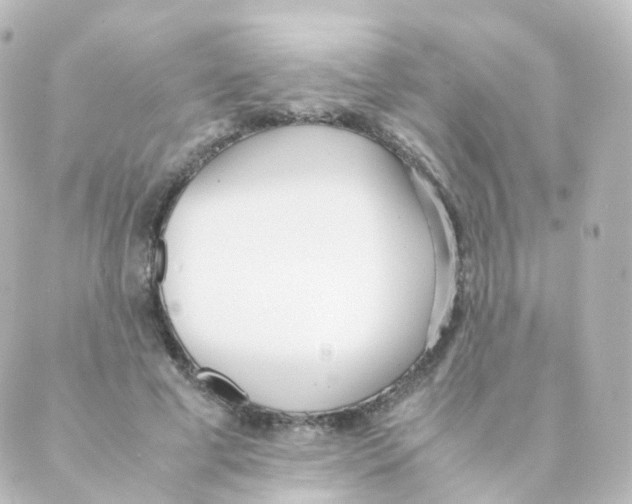 X0000088640593200706221548