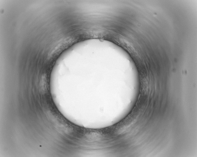 X0000088640594200706221548