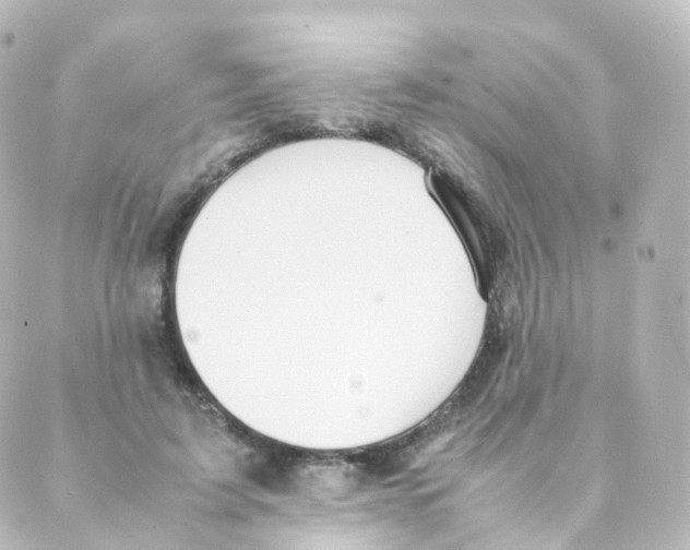 X0000088640595200706221547