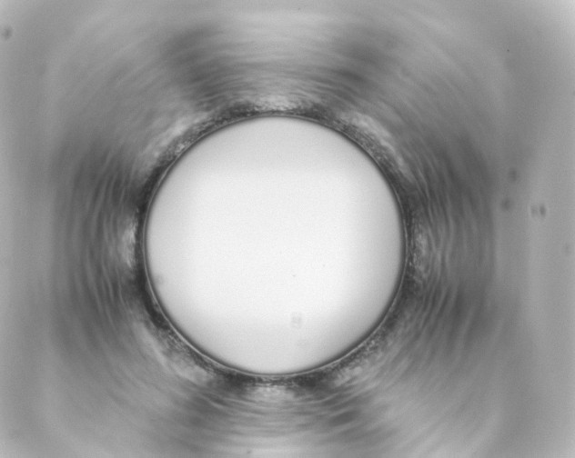 X0000088640596200706221547