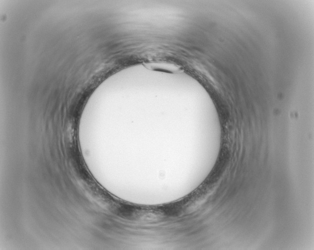 X0000088640597200706221547