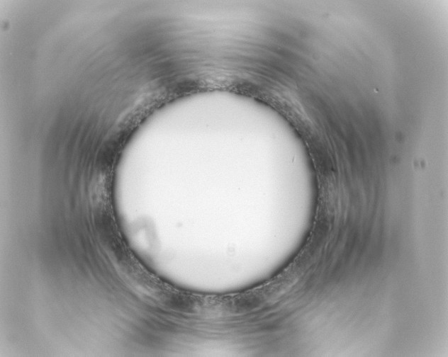 X0000088640598200706221547