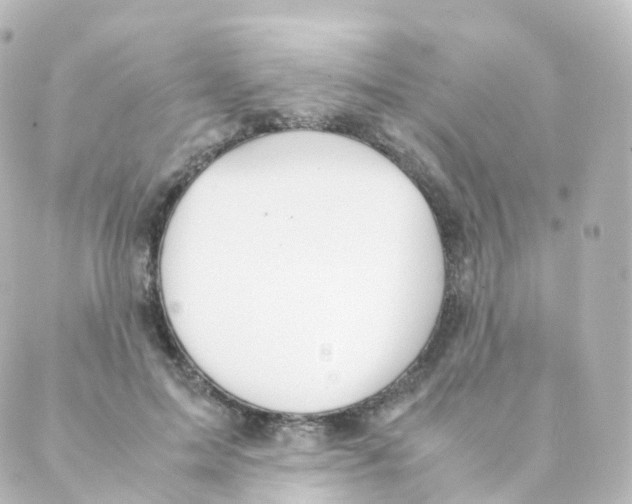 X0000088640599200706221547