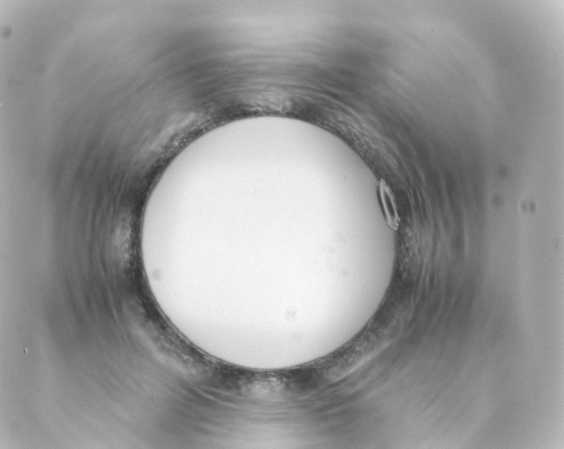 X0000088640600200706221547