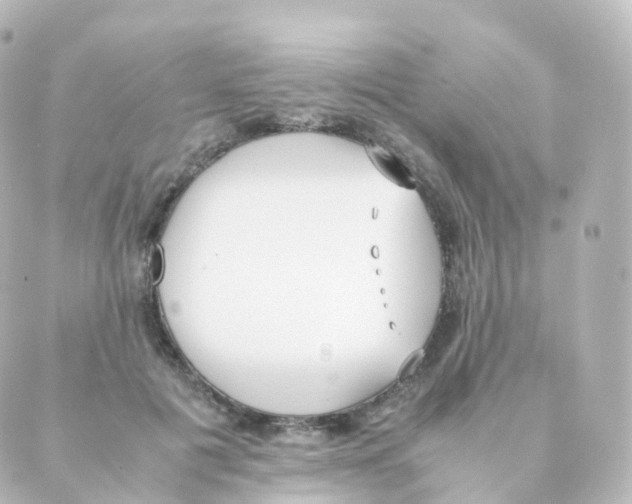 X0000088640601200706221547