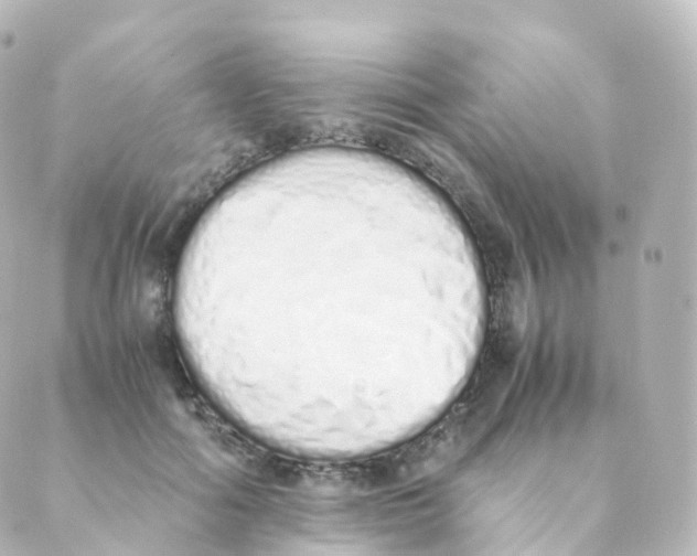 X0000088640602200706221547