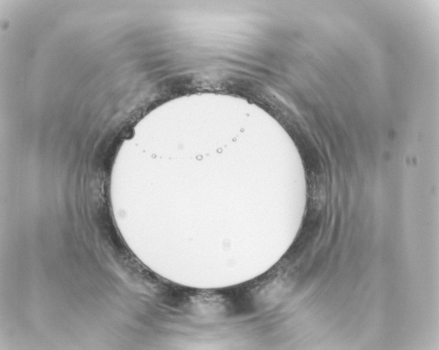 X0000088640603200706221547