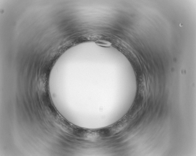 X0000088640604200706221547