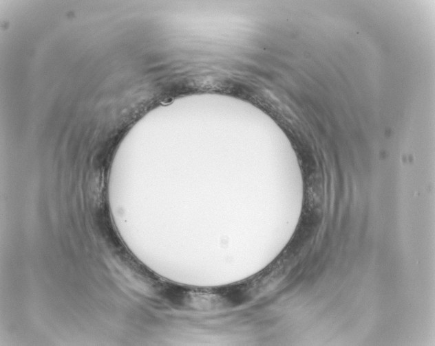 X0000088640605200706221547