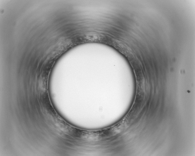 X0000088640606200706221547