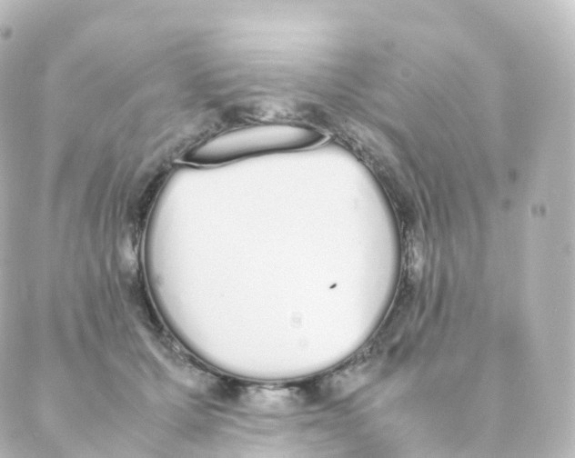 X0000088640607200706221547