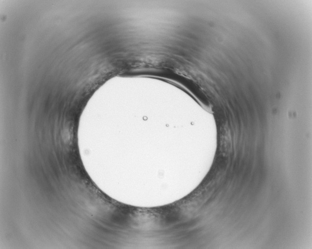 X0000088640608200706221547