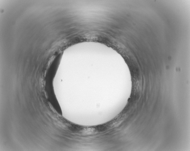 X0000088640609200706221547