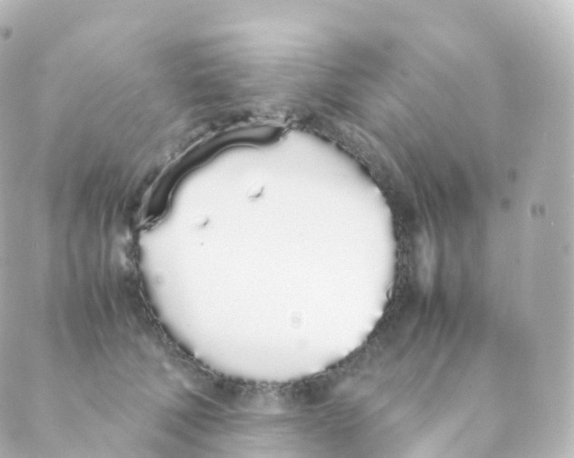 X0000088640610200706221547