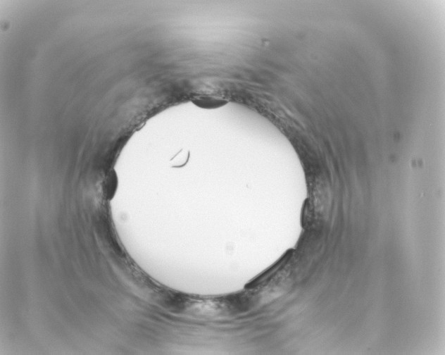 X0000088640611200706221547