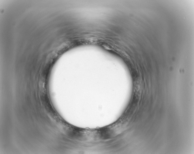 X0000088640615200706221547