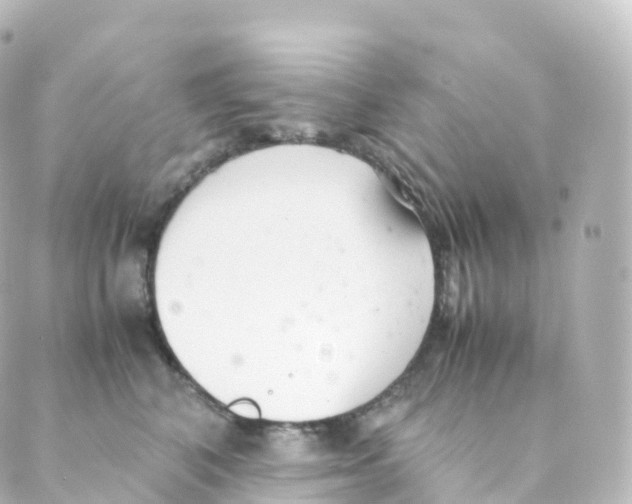 X0000088640616200706221547