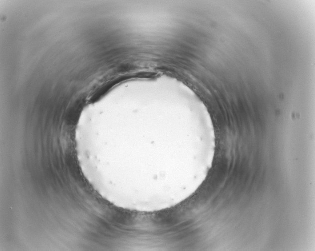 X0000088640618200706221547