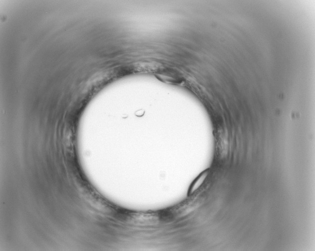 X0000088640619200706221547