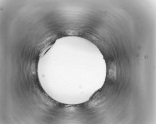 X0000088640620200706221547