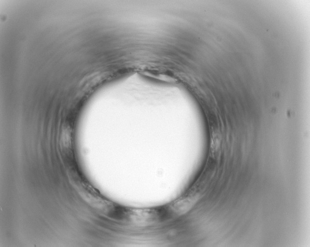 X0000088640623200706221547