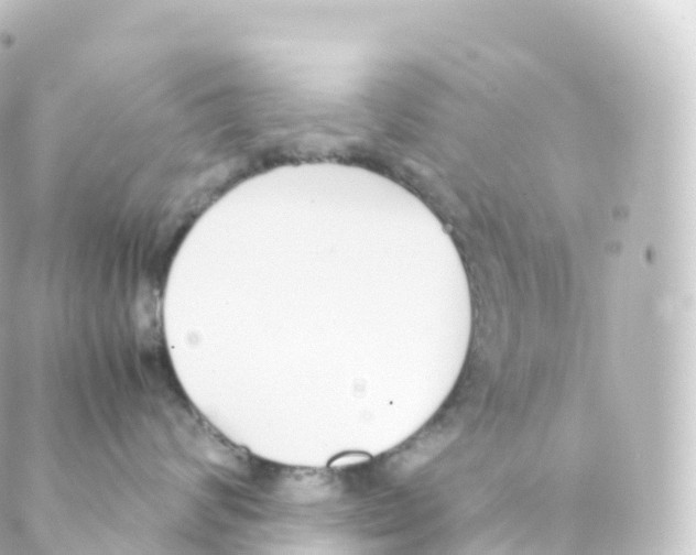 X0000088640624200706221547