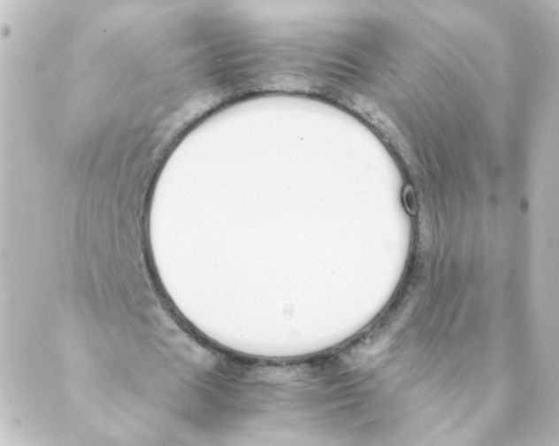 X0000088640625200706221546