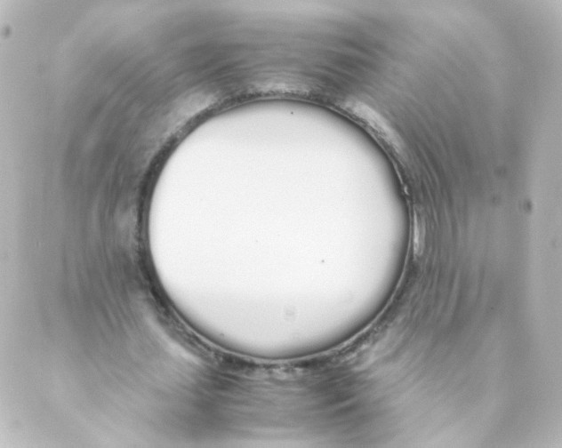 X0000088640627200706221546