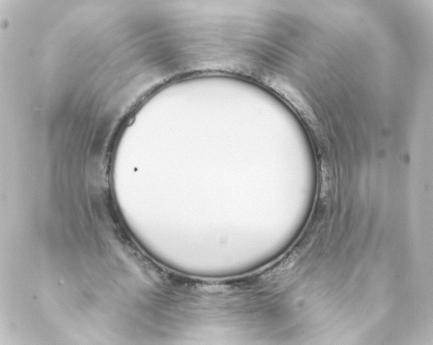 X0000088640628200706221546