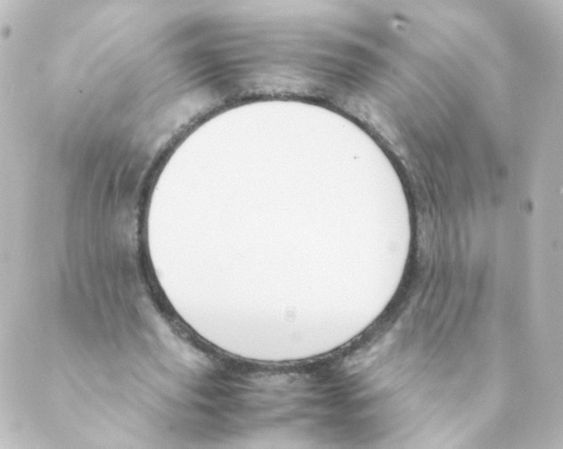 X0000088640629200706221546