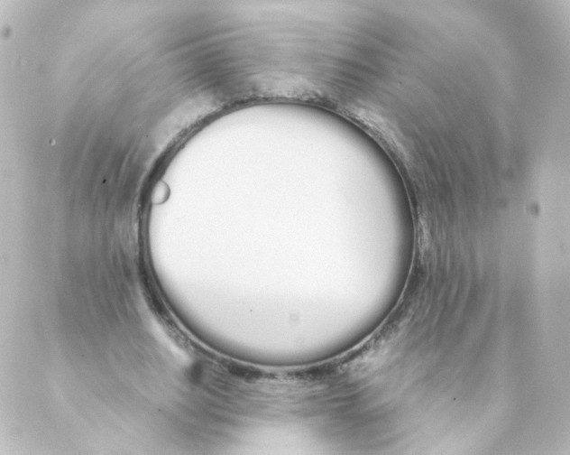 X0000088640630200706221546