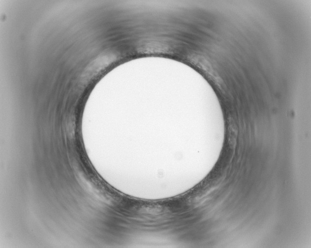 X0000088640631200706221546