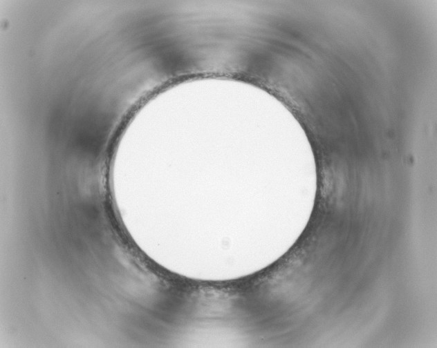 X0000088640632200706221546