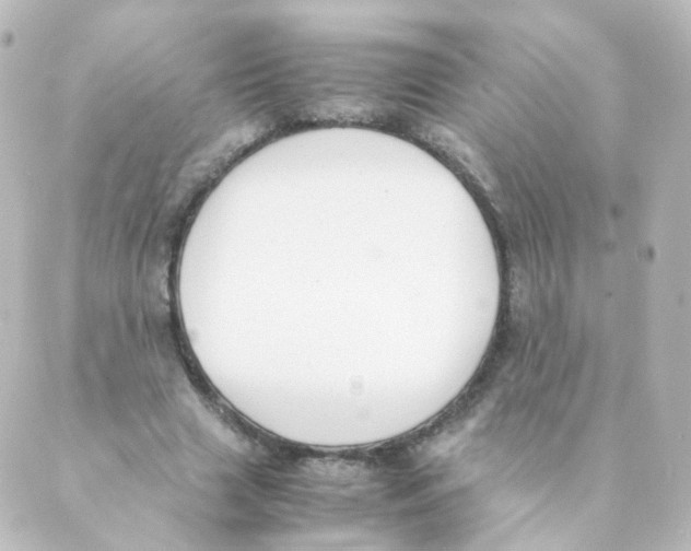 X0000088640633200706221546