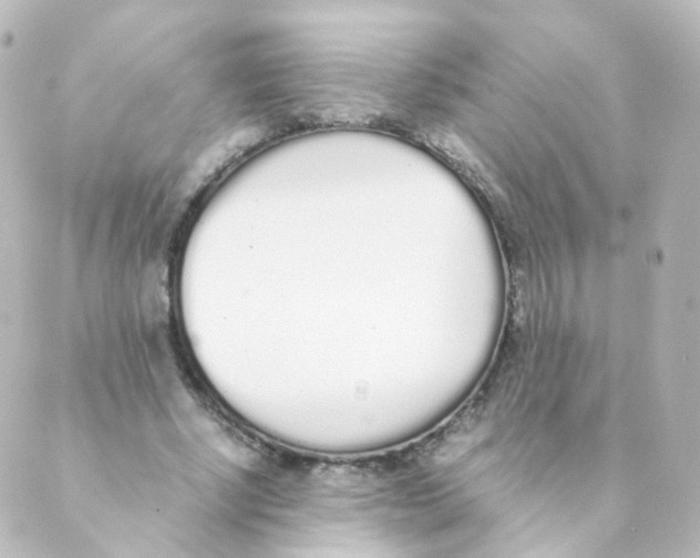 X0000088640634200706221546