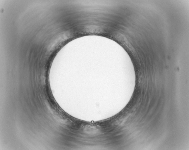 X0000088640635200706221546