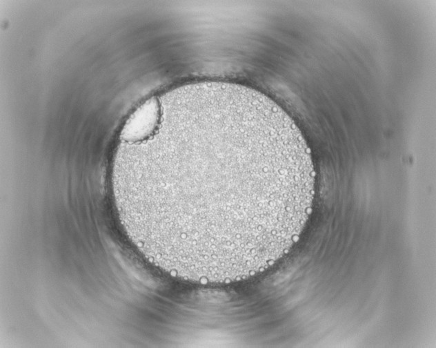 X0000088640636200706221546