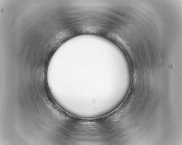 X0000088640637200706221546