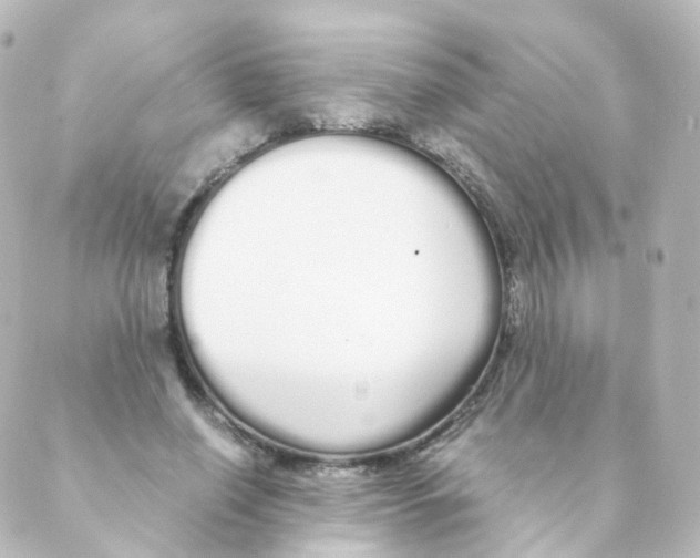 X0000088640638200706221546