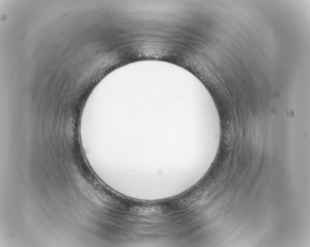 X0000088640639200706221546