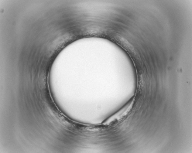 X0000088640640200706221546