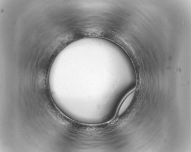 X0000088640641200706221547