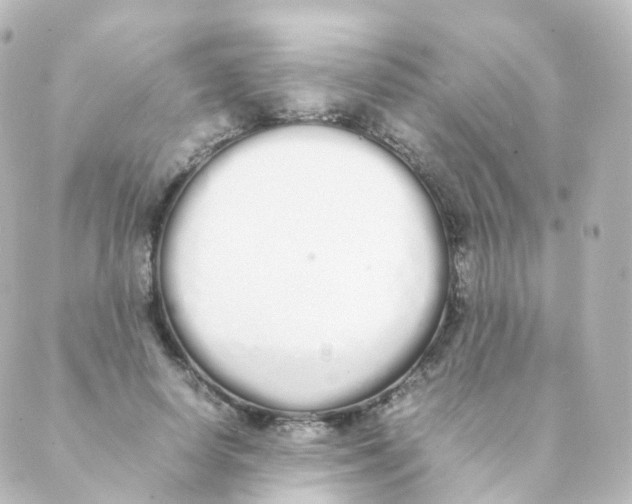 X0000088640642200706221547