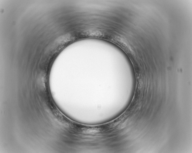 X0000088640643200706221547