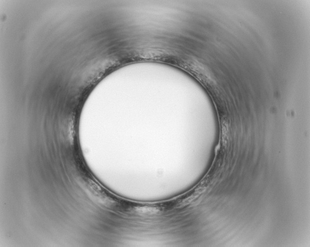 X0000088640644200706221547