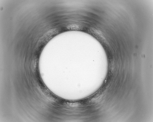 X0000088640645200706221547